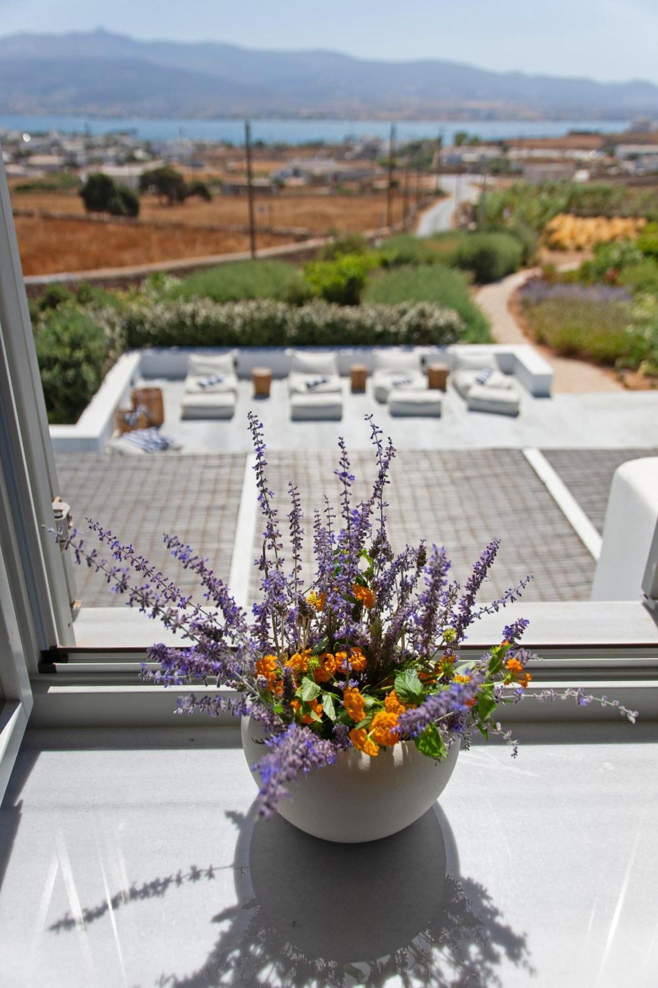 Dreamy 5 Bdr Antiparos Pool Villa Bagian luar foto